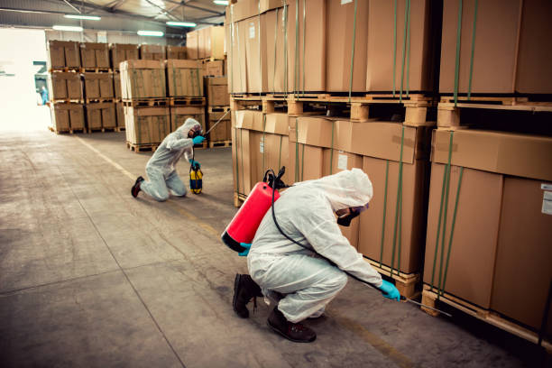 Best Emergency Pest Control  in Nuevo, CA