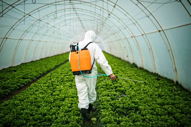 Best Affordable Exterminators  in Nuevo, CA