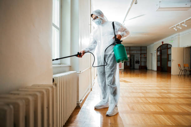 Best Flea Control Services  in Nuevo, CA
